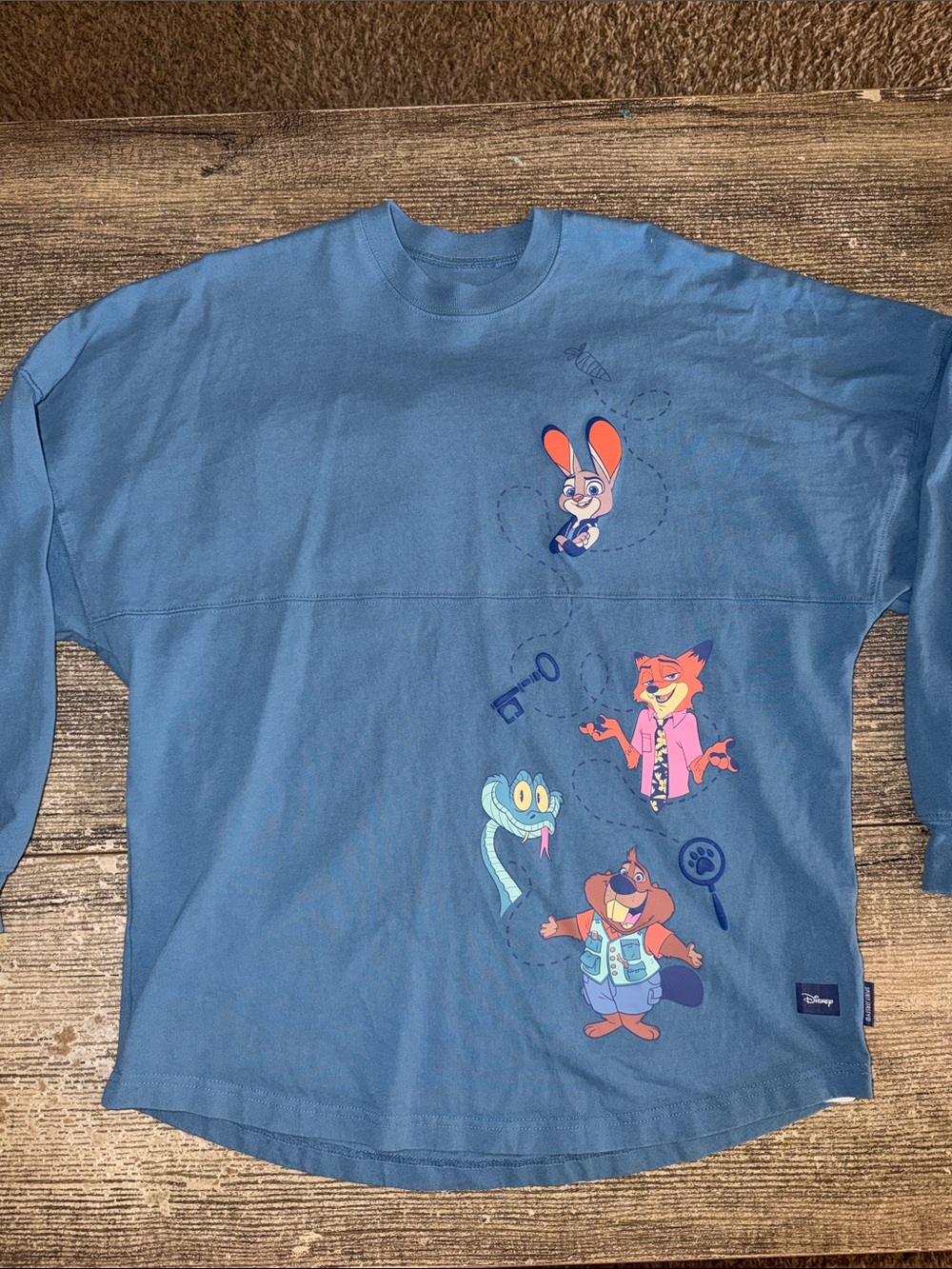 Disney Zootopia 2 blue front and back graphic spirit jersey